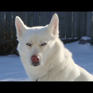 Meet your Posher, Tammy